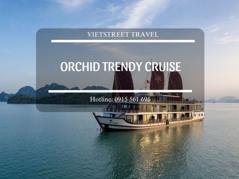 Du thuyền 5 sao Orchid Trendy Cruise
